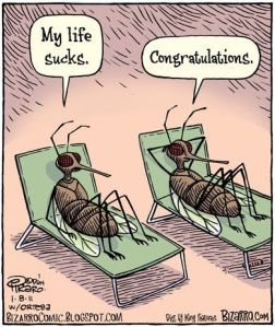 6fd4fc6cf89f93e13b59925a0a573bbe